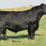 C&C PRIORITY 1428B EXAR