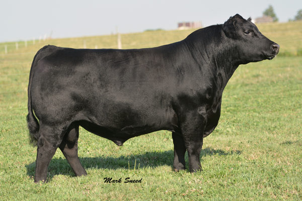 C&C PRIORITY 1428B EXAR