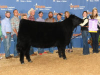 We Are proud to Donate the proceeds from our Lot 11 in tonight’s Embryo Sale to the NJAS