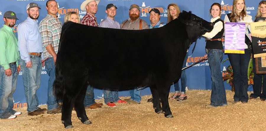We Are proud to Donate the proceeds from our Lot 11 in tonight’s Embryo Sale to the NJAS