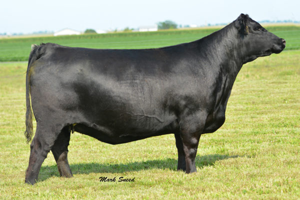 PVF MISSIE 0084