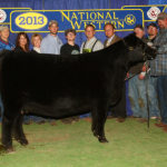 WB PVF LUCY 1052