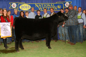 WB PVF LUCY 1052
