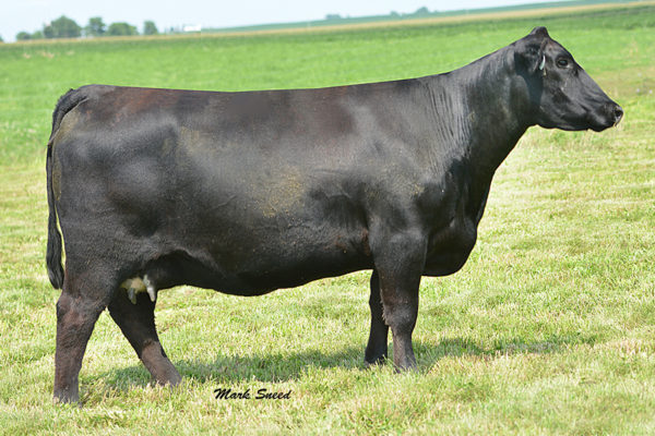PVF MISSIE 1148