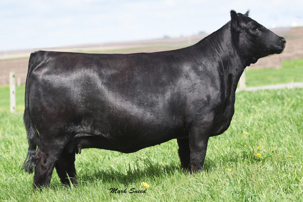 PVF Missie 4149