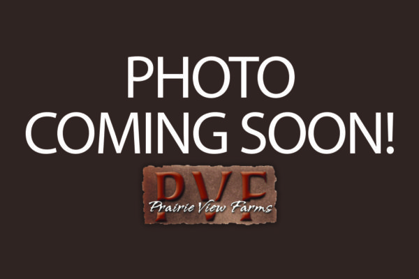 DAMERON PVF RAPTOR 702