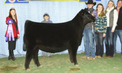 Heifers like this Sell 4/6/18!