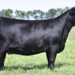 PVF Missie 5245