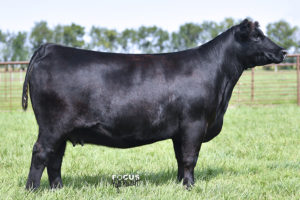 PVF Missie 5245