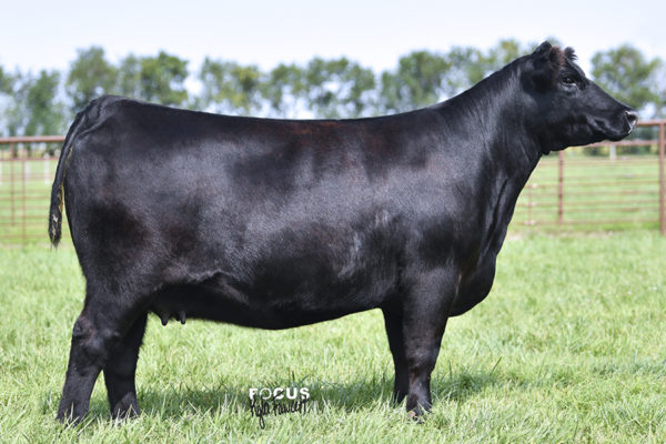 PVF Missie 5245
