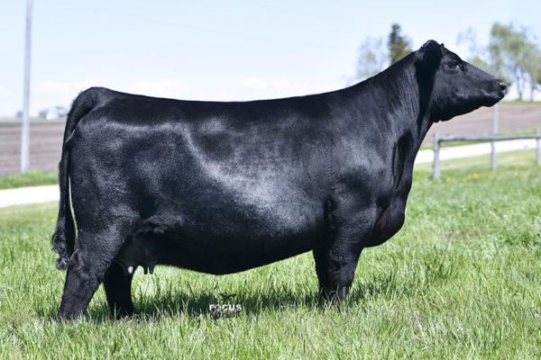 PVF Lucy 4189