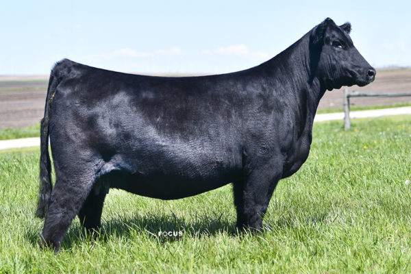 PVF Missie 8246