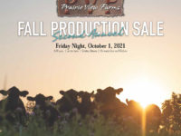 2021 Fall Production Sale Catalog NOW POSTED!