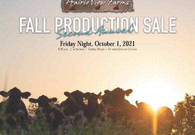 2021 Fall Production Sale Catalog NOW POSTED!