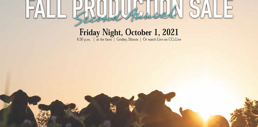 2021 Fall Production Sale Catalog NOW POSTED!