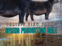 2023 Annual Spring Production Catalog NOW POSTED!