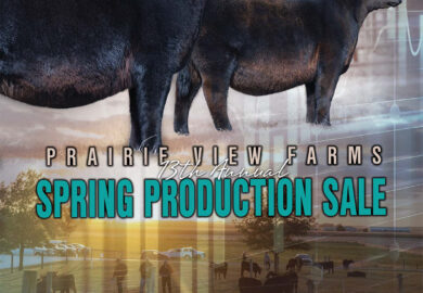 2023 Annual Spring Production Catalog NOW POSTED!