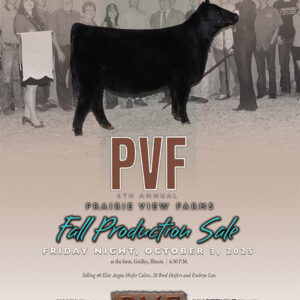 PVF Aug 25 STimes.qxp_Layout 1