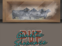 PVF Genetic Showcase 11.11.2025