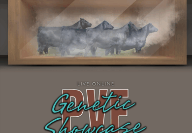 PVF Genetic Showcase 11.11.2025