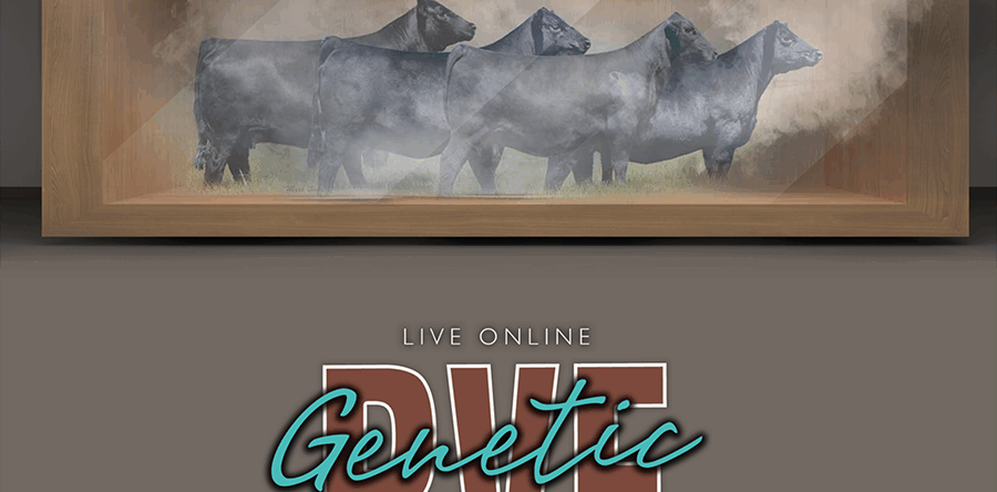 PVF Genetic Showcase 11.11.2025